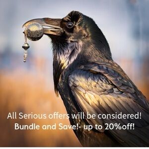 The Raven’s Curious Treasures